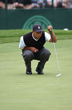 tiger-woods-small-business